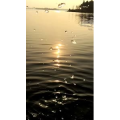 旅行风景1118
