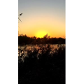 旅行风景1130