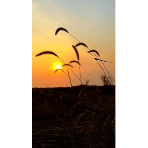 旅行风景1139
