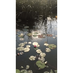 旅行风景1160