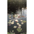 旅行风景1160