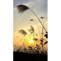 旅行风景1161