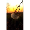 旅行风景1173