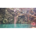 旅行风景1180