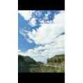 旅行风景1193