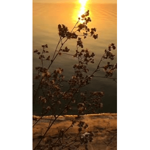 旅行风景1195