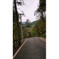 旅行风景1208