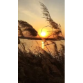 旅行风景1250