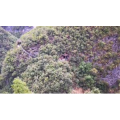 旅行风景1252