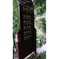 旅行风景1260