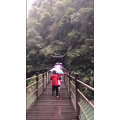 旅行风景1263