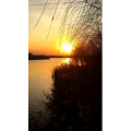 旅行风景1266