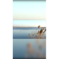 旅行风景1269