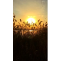 旅行风景1271