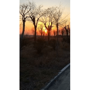 旅行风景1288