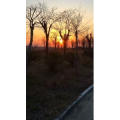 旅行风景1288