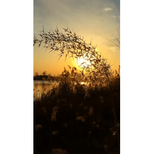 旅行风景1295