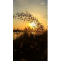 旅行风景1295