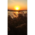 旅行风景1296