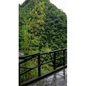 旅行风景1297