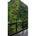 旅行风景1297