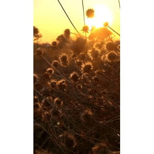 旅行风景1306