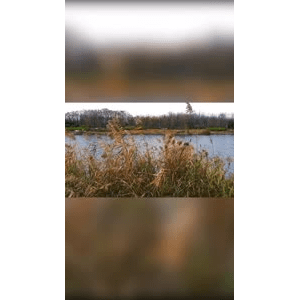 旅行风景1318