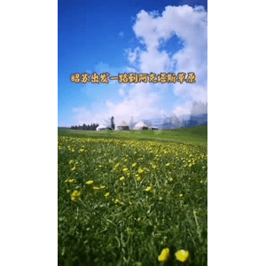 旅行风景1328