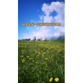 旅行风景1328