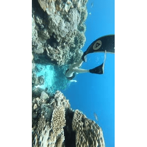 旅行风景1336