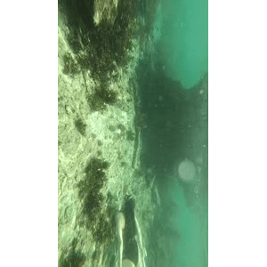 旅行风景1346