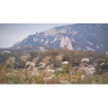 旅行风景1349