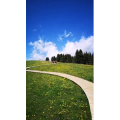 旅行风景1350