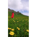 旅行风景1353