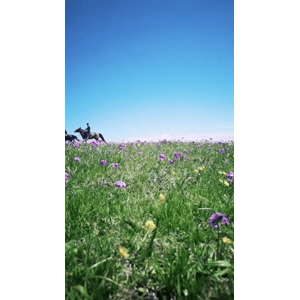 旅行风景1378