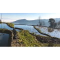 旅行风景1379