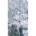 旅行风景1387