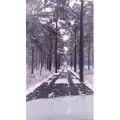 旅行风景1393