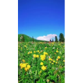 旅行风景1399