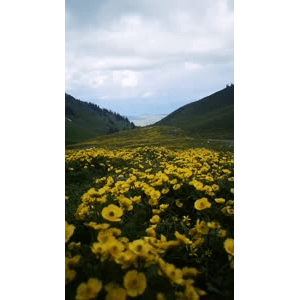 旅行风景1400