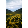 旅行风景1400
