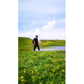 旅行风景1405