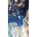 旅行风景1409