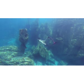 旅行风景1410