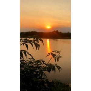 旅行风景1419