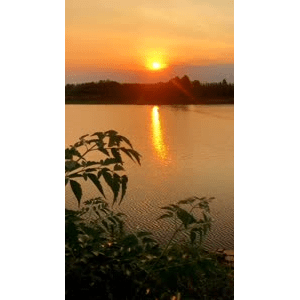 旅行风景1424