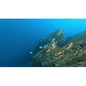 旅行风景1425