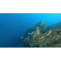 旅行风景1425