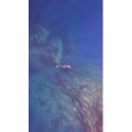 旅行风景1427