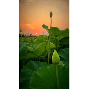 旅行风景1430